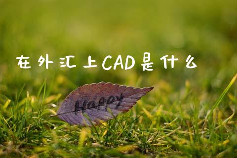 在外汇上CAD是什么_https://wap.gongyisiwang.com_个股行情_第1张