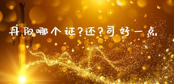 丹阳哪个证?还?司好一点_https://wap.gongyisiwang.com_股市新闻_第1张