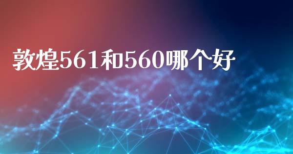 敦煌561和560哪个好_https://wap.gongyisiwang.com_金融科技_第1张