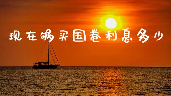 现在够买国卷利息多少_https://wap.gongyisiwang.com_大盘分析_第1张