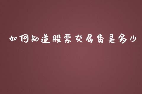 如何知道股票交易费是多少_https://wap.gongyisiwang.com_个股行情_第1张