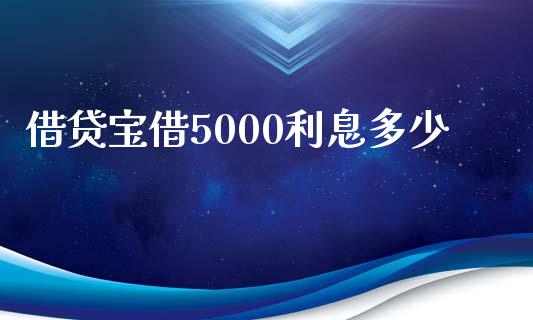 借贷宝借5000利息多少_https://wap.gongyisiwang.com_理财规划_第1张