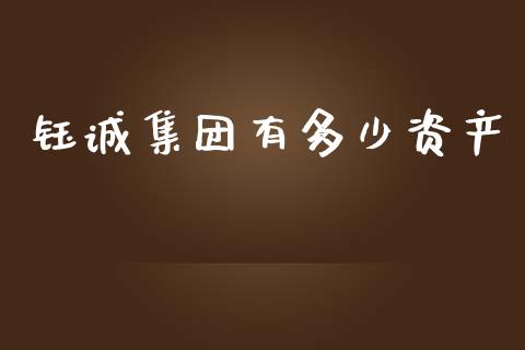 钰诚集团有多少资产_https://wap.gongyisiwang.com_保险理财_第1张