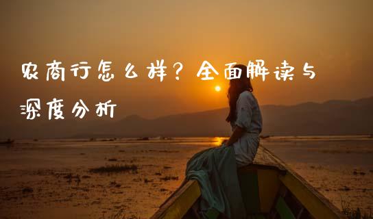 农商行怎么样？全面解读与深度分析_https://wap.gongyisiwang.com_个股行情_第1张