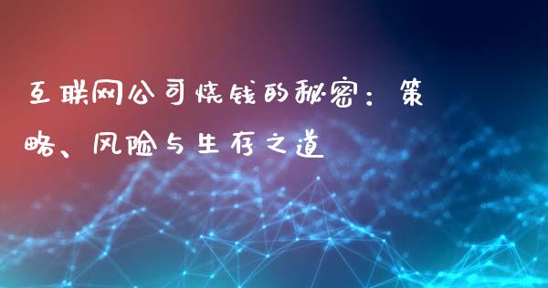 互联网公司烧钱的秘密：策略、风险与生存之道_https://wap.gongyisiwang.com_概念板块_第1张