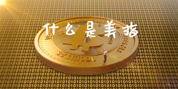 什么是美指_https://wap.gongyisiwang.com_金融科技_第1张