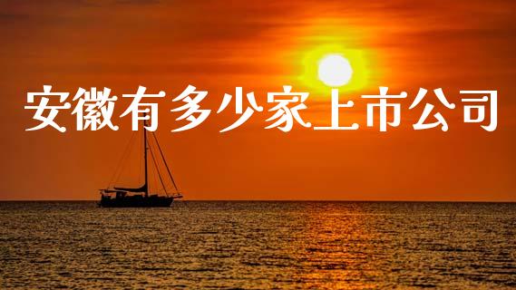 安徽有多少家上市公司_https://wap.gongyisiwang.com_大盘分析_第1张