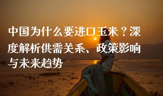 中国为什么要进口玉米？深度解析供需关系、政策影响与未来趋势_https://wap.gongyisiwang.com_大盘分析_第1张