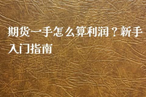 期货一手怎么算利润？新手入门指南_https://wap.gongyisiwang.com_美原油直播_第1张