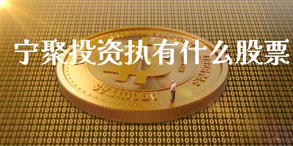 宁聚投资执有什么股票_https://wap.gongyisiwang.com_个股行情_第1张