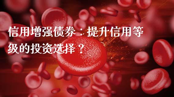 信用增强债券:提升信用等级的投资选择?_理财规划_第1张_大盘分析_个股行情_概念板块_股市新闻 信用增强债券:提升信用等级的投资选择?_https://wap.gongyisiwang.com_理财规划_第1张