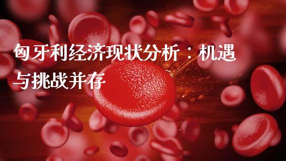 匈牙利经济现状分析：机遇与挑战并存_https://wap.gongyisiwang.com_大盘分析_第1张