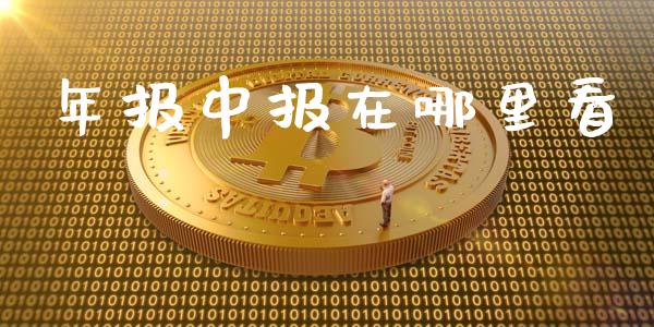 年报中报在哪里看_https://wap.gongyisiwang.com_理财规划_第1张