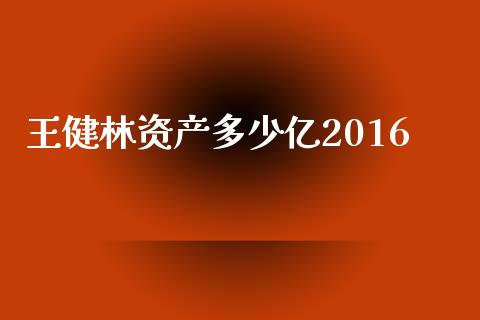 王健林资产多少亿2016_https://wap.gongyisiwang.com_概念板块_第1张