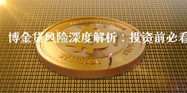 博金贷风险深度解析：投资前必看_https://wap.gongyisiwang.com_理财规划_第1张