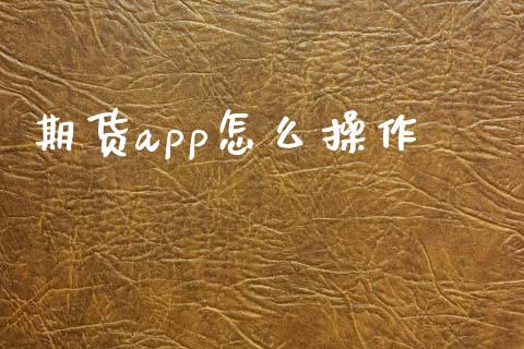 期货app怎么操作_https://wap.gongyisiwang.com_大盘分析_第1张