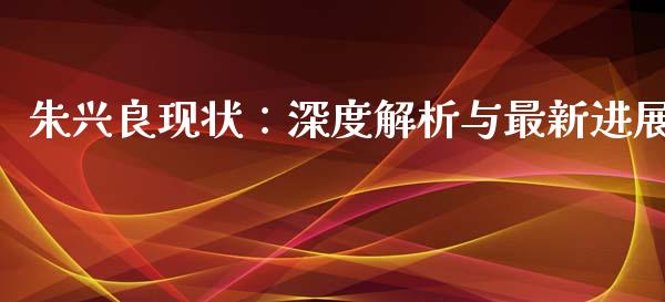 朱兴良现状：深度解析与最新进展_https://wap.gongyisiwang.com_理财规划_第1张