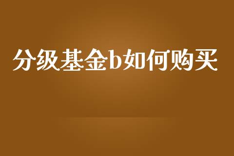 分级基金b如何购买_https://wap.gongyisiwang.com_美原油直播_第1张