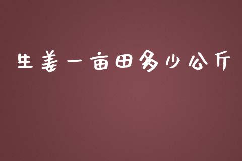 生姜一亩田多少公斤_https://wap.gongyisiwang.com_股市新闻_第1张