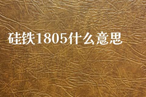 硅铁1805什么意思_https://wap.gongyisiwang.com_理财规划_第1张