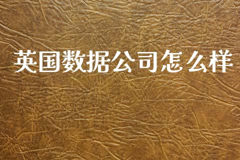 英国数据公司怎么样_https://wap.gongyisiwang.com_概念板块_第1张