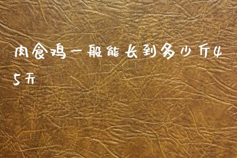 肉食鸡一般能长到多少斤45天_https://wap.gongyisiwang.com_理财规划_第1张