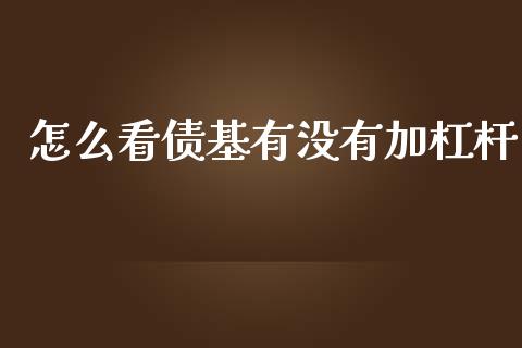 怎么看债基有没有加杠杆_https://wap.gongyisiwang.com_理财规划_第1张