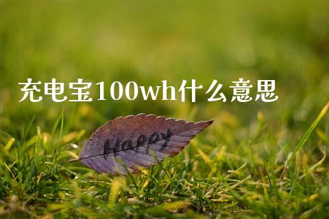 充电宝100wh什么意思_https://wap.gongyisiwang.com_大盘分析_第1张