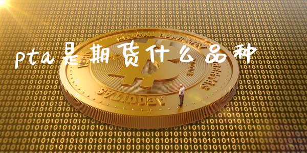 pta是期货什么品种_https://wap.gongyisiwang.com_金融科技_第1张