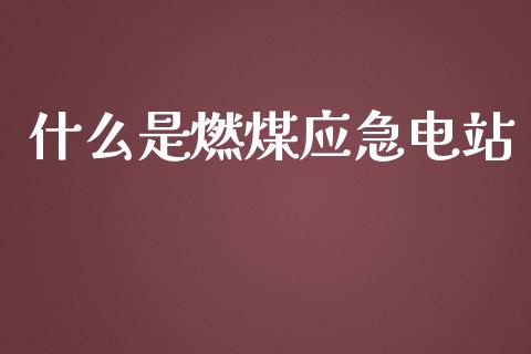 什么是燃煤应急电站_https://wap.gongyisiwang.com_股市新闻_第1张