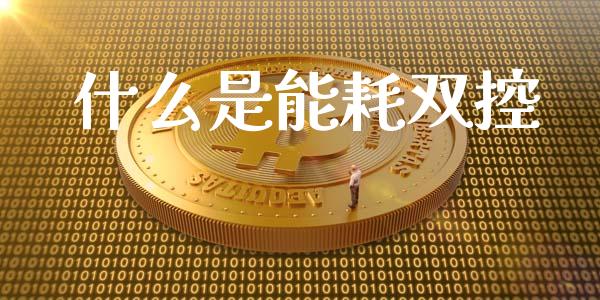 什么是能耗双控_https://wap.gongyisiwang.com_金融科技_第1张