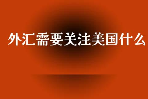 外汇需要关注美国什么_https://wap.gongyisiwang.com_金融科技_第1张