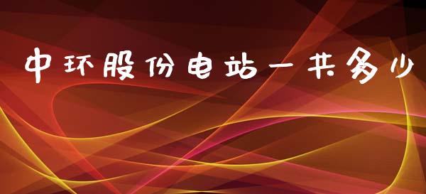 中环股份电站一共多少_https://wap.gongyisiwang.com_保险理财_第1张