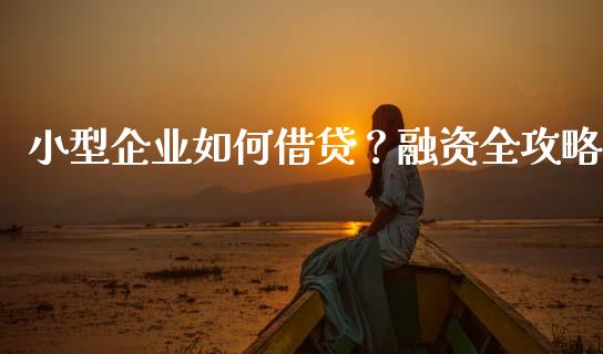 小型企业如何借贷？融资全攻略_https://wap.gongyisiwang.com_保险理财_第1张