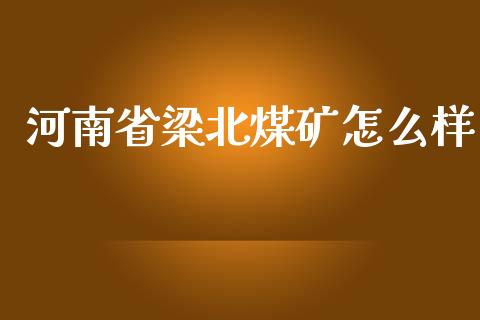 河南省梁北煤矿怎么样_https://wap.gongyisiwang.com_股市新闻_第1张