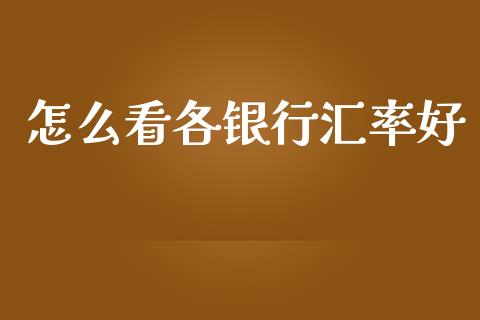 怎么看各银行汇率好_https://wap.gongyisiwang.com_理财规划_第1张