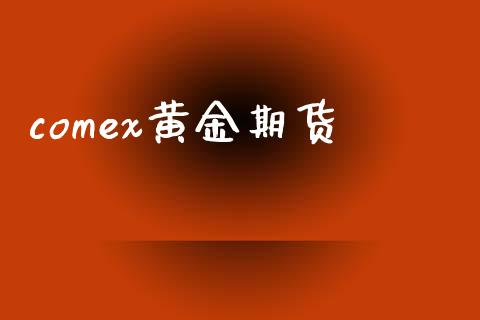 comex黄金期货_https://wap.gongyisiwang.com_概念板块_第1张