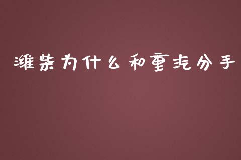 潍柴为什么和重汽分手_https://wap.gongyisiwang.com_金融科技_第1张