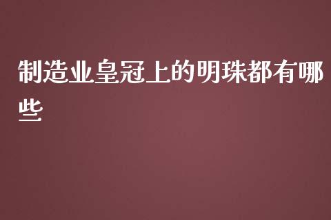 制造业皇冠上的明珠都有哪些_https://wap.gongyisiwang.com_保险理财_第1张