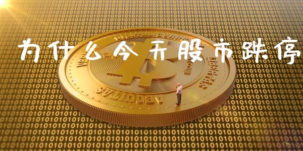 为什么今天股市跌停_https://wap.gongyisiwang.com_大盘分析_第1张