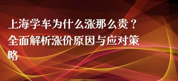 上海学车为什么涨那么贵？全面解析涨价原因与应对策略_https://wap.gongyisiwang.com_理财规划_第1张