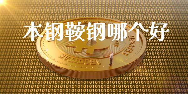 本钢鞍钢哪个好_https://wap.gongyisiwang.com_金融科技_第1张