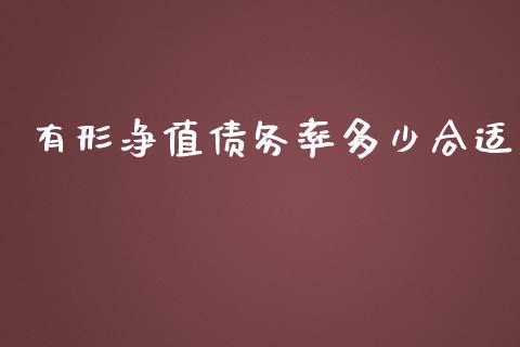 有形净值债务率多少合适_https://wap.gongyisiwang.com_股市新闻_第1张