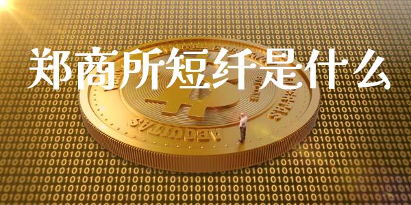 郑商所短纤是什么_https://wap.gongyisiwang.com_概念板块_第1张