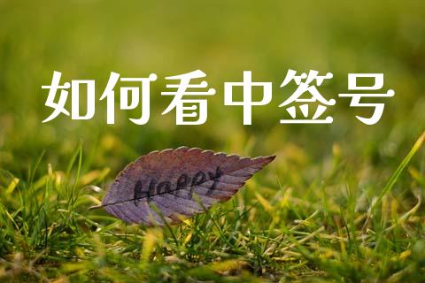 如何看中签号_https://wap.gongyisiwang.com_保险理财_第1张