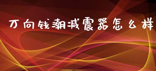 万向钱潮减震器怎么样_https://wap.gongyisiwang.com_概念板块_第1张