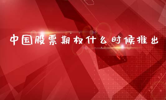 中国股票期权什么时候推出_https://wap.gongyisiwang.com_理财规划_第1张