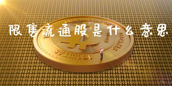 限售流通股是什么意思_https://wap.gongyisiwang.com_概念板块_第1张