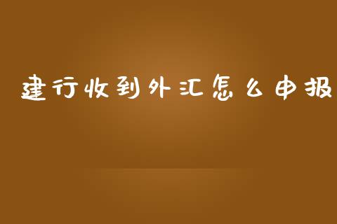 建行收到外汇怎么申报_https://wap.gongyisiwang.com_个股行情_第1张