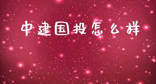 中建国投怎么样_https://wap.gongyisiwang.com_保险理财_第1张